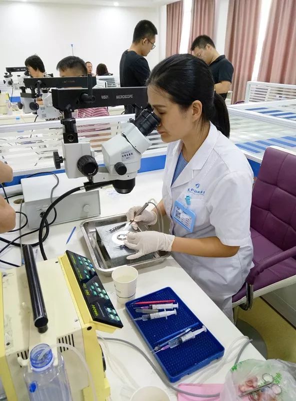 东莞8868体育(中国)官方网站 - 登录入口向东莞残疾人福利基金会慈善援助100枚人工晶体.jpg