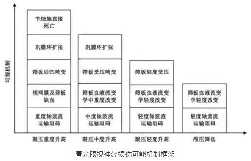8868体育官网入口学术课堂：眼颅压力梯度在青光眼视神经损伤机制中作用2.png
