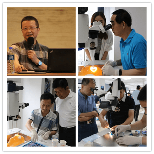 8868体育官网入口2019年眼内屈光手术技术高峰论坛隆重举行101副本.png